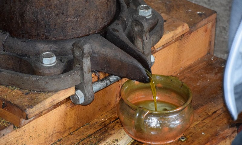 Proces tłoczenia oleju w starej prasie