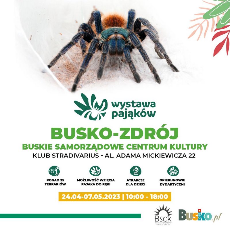 grafika promująca wystawę pająków, w tle zdjęcie pająka