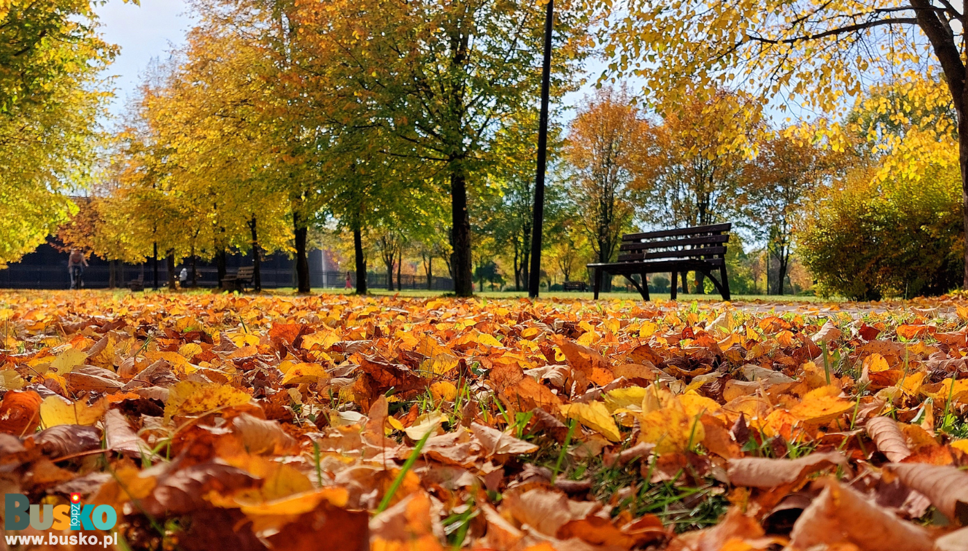 jesień, pusta ławka jesień, pusta ławka
