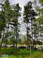 Park linowy Małpi Gaj w Busku-Zdroju - na zdjęciu jedna z przeszkód