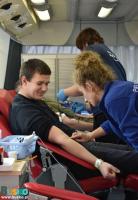 uczestnicy akcji oddają krew