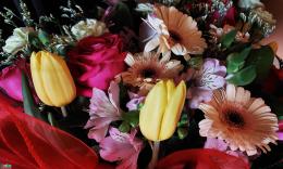 zdjęcie przedstawia bukiet kolorowych kwiatów