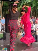Pokaz flamenco Magdy Navarette 