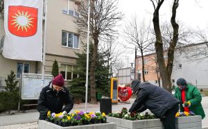 Zdjęcie przedstawia Pracowników ZUK sadzących kolorowe bratki na tle Urzędu Miasta i Gminy w Busku-Zdroju